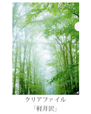 clearfile_11