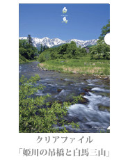 clearfile_21