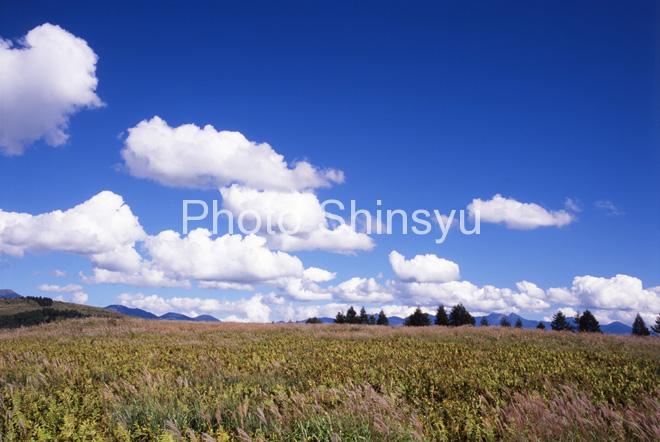 草原の雲