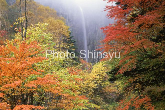 秋色の米子渓谷 権現滝