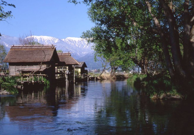 0117-1-660x459.jpg