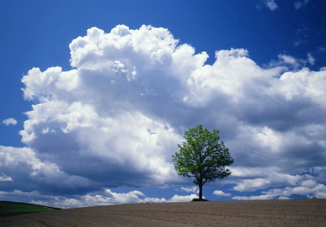 夏の雲 Clouds in summer （夏の雲）】 - 京都・中尾写真場 日記